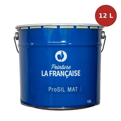 Peinture plafonds Pro Sil Mat blanc 12L PLF00101