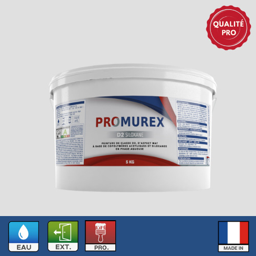 PEINTURE D2 SILOXANE 5 KG PROD2SIL5K