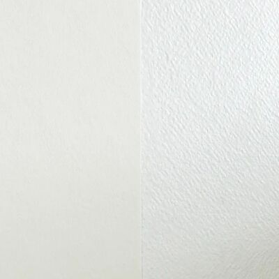 Voile de verre spécial recouvrement 375g/m² LECO Lecouvretout 25 x 1m LEC00115